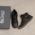 Чоловічі зимові шкіряні черевики  Winter E-series biom Brown, фото 7