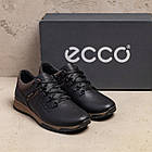 Чоловічі шкіряні кросівки Е-series Brown, фото 5