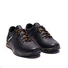 Чоловічі шкіряні кросівки Col Brown, фото 2