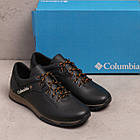 Чоловічі шкіряні кросівки Col Brown, фото 5