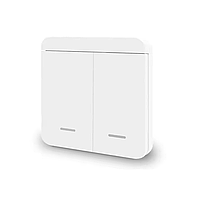 Реле для встановлення на стіну (Подвійний, 2200Вт), Бездротове реле 220, Реле для автоматизації освітлення, DVS