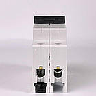 Автоматичний вимикач АББ Basic 2p 10A BMS412-C10, фото 2