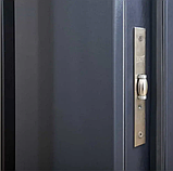 Двері LP-5 Queen, фото 3