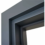 Двері LP-5 Queen, фото 5