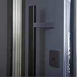 Двері LP-5 Queen, фото 10