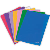 Куточок пластиковий А4 Ec №31153 щільністю 180мкр асорті кольорів