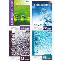 Блокнот на спіралі перфорований А4 Brisk 80листів # №СТВ-38 (58355) з твердою підкладкою (картонна о