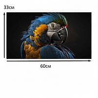 Стильна картина Папуга на темному чорному фоні Настінний декор у сучасному інтер'єрі 60х33см, фото 5