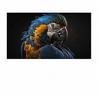 Стильна картина Папуга на темному чорному фоні Настінний декор у сучасному інтер'єрі 60х33см, фото 2