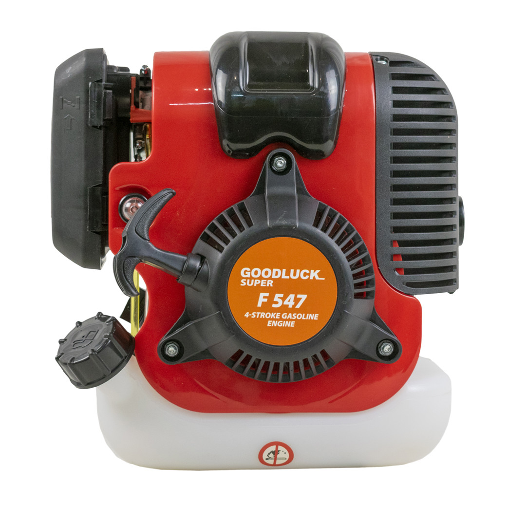 Двигун чотиритактний GOOD LUCK SUPER F547
