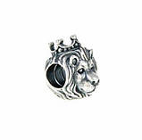 Срібний шарм Пандора 791377, фото 4