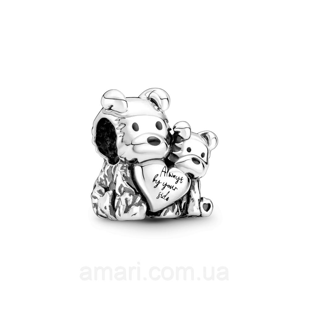 Срібний шарм Пандора "Всюди на твоєму боці" 790791C01, фото 1