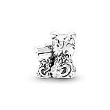 Срібний шарм Пандора "Всюди на твоєму боці" 790791C01, фото 2