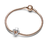 Срібний шарм Пандора "Любов — це любов" 782505C00, фото 3