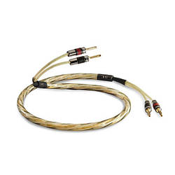 QED GAXT PRE-TERM SPEAKER CABLE