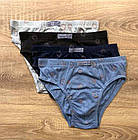 Труси дитячі для хлопчика бавовна прямокутник Natural Club Польща, фото 3