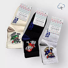 633хл Дитячі шкарпетки з героями Щенячий патруль, бренд Legko, розмір 18