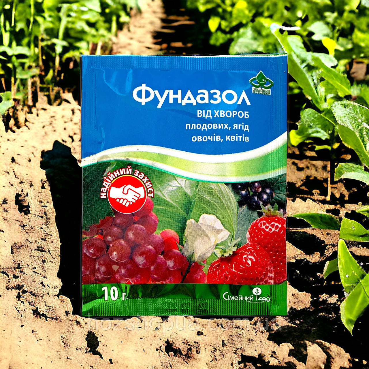 Фунгіцид Фундазол з.п. Сімейний Сад, 10 г