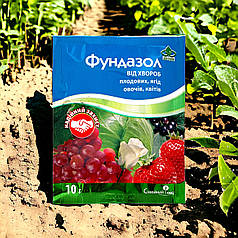Фунгіцид Фундазол з.п. Сімейний Сад, 10 г