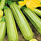Насіння Кабачку Кавілі F1, 50 шт (Leda Agro), ультраранній гібрид для відкритого ґрунту та теплиць, фото 3