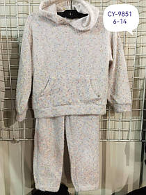 Набір-двійка для дівчаток оптом, F&D, 6-14 років, арт. CY-9851