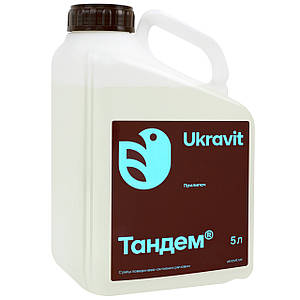 Порнографиялық әйел күйеуіне кездесуге келіп, оны күйеуінің көзінше эскорт қағып алған.