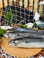 Скумбрія 400-600 с/м (1кг)