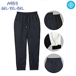 Чоловічі теплі штани з білим флісом "Фабричний Китай" Розміри: 54,56,58 (16331)