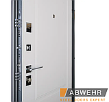 Вхідні двері модель Ramina 509/520, фото 6