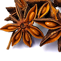 Бодян (зірчастий аніс) 50 г, фото 2