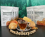 Трамета різнобарвна (екстракт), фото 4