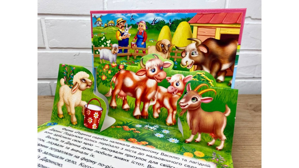 Product image preview