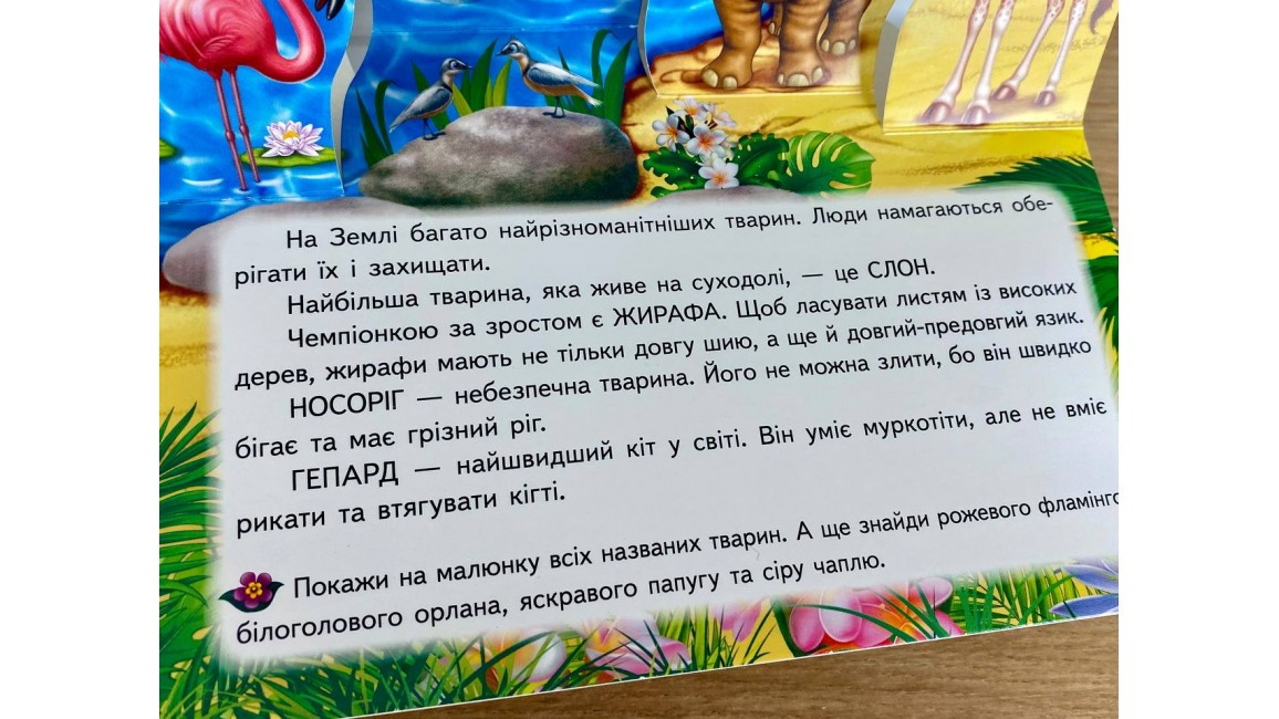 Product image preview