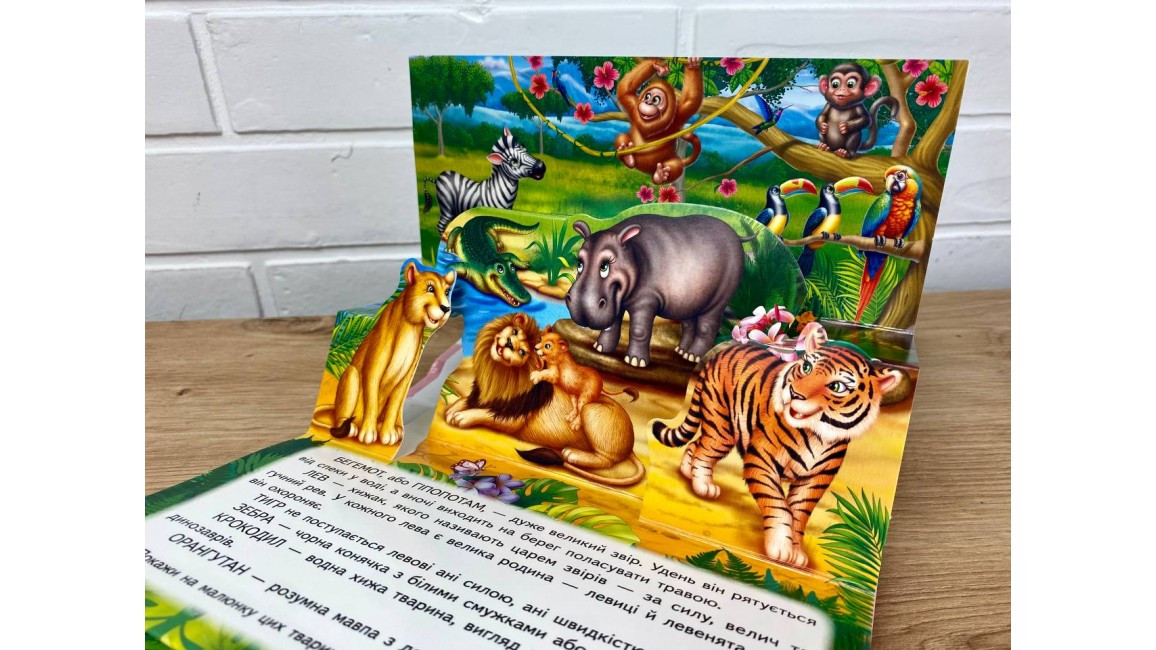 Product image preview