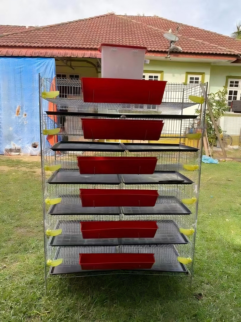 Клітка для перепелів 5-ярусна 250 голів, фото 1