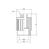 Муфта PPR Thermo Alliance 25х1/2" ЗР, фото 2