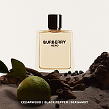 Туалетна вода для чоловіків Burberry Hero 1.5 мл Пробник, фото 3
