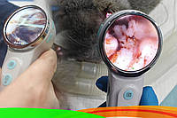 Для чого використовується отоскоп у ветеринарії?