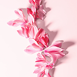 Туалетна вода для жінок Dolce&Gabbana L'Imperatrice 1.5 мл Пробник, фото 4