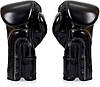 Боксерські рукавиці Fairtex BGV14SB Black 16 унцій (бинти в комплекті), фото 6