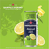 Газований напій Sanpellegrino Limone Menta 330мл, фото 2