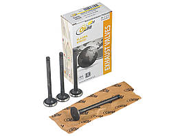 Клапан ГРМ ЗАЗ 1102 Таврія, 1103 Славута, 1105 Дана, Деу Сенс, випуск азот. компл. 4 шт.