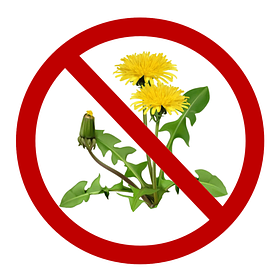 Гербіциди (засоби від бур'янів)