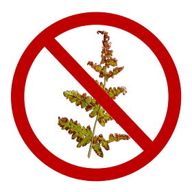 Фунгіциди (засоби від хвороб)