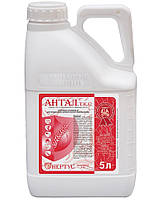 Протруйник Антал 5 л для захисту насіння зернових від хвороб