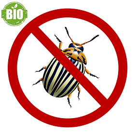 Біоінсектициди