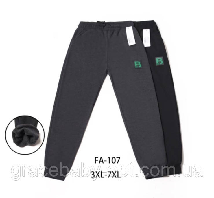 Спортивні штани утеплені для чоловіків оптом, 3XL-7XL рр, № Nk-FA-107, фото 1