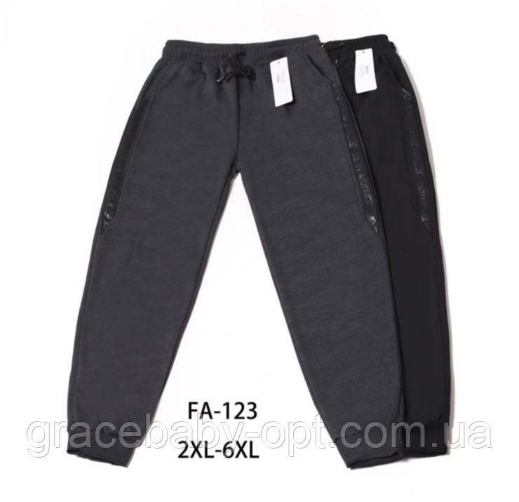Спортивні штани утеплені для чоловіків оптом, 2XL-6XL рр,  № Nk-FA-123, фото 1