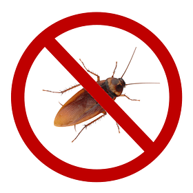 Засоби від побутових комах