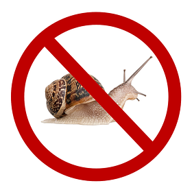 Молюскоциди (засоби від молюсків)